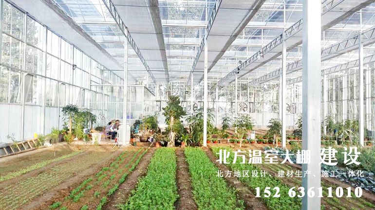 生态玻璃温室内部景观