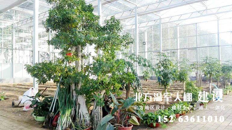 生态休闲好自在