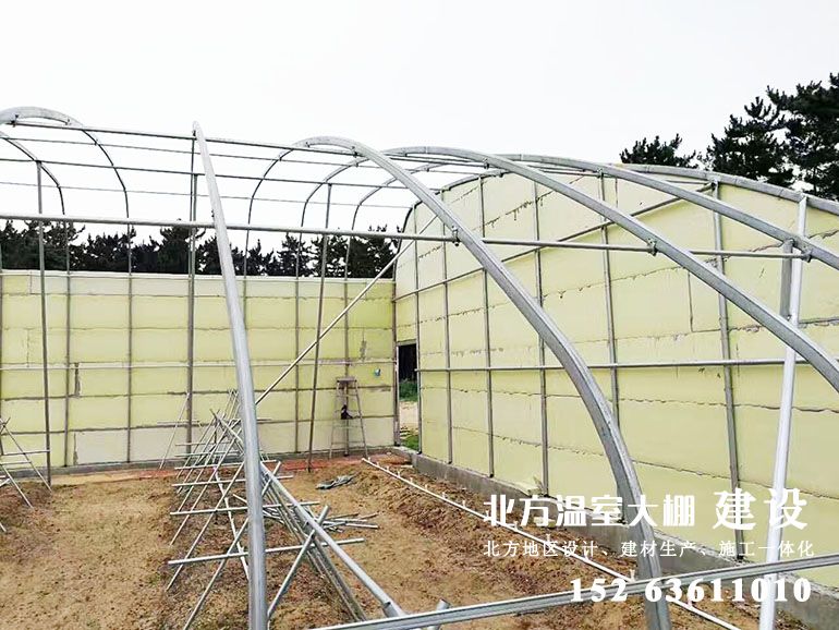 大跨度无后墙日光温室-（新型骨架）