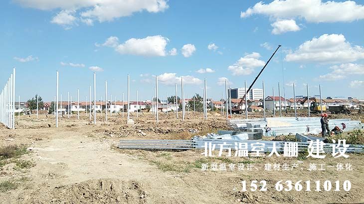 温室大棚主体骨架开始安装